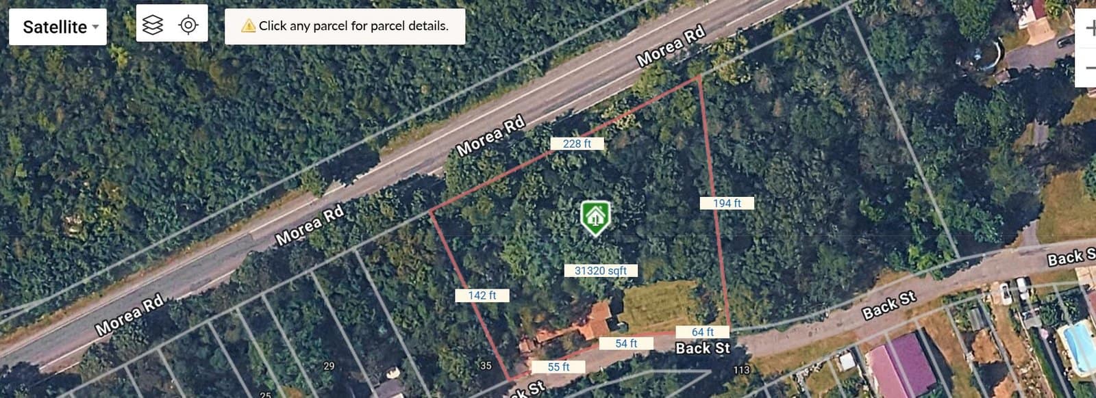 Approximate 37 Back Street parcel illustration showing side measurements 228, 194, 142, 64, 55 and 54 feet and mapped area 31,320 square feet along Morea Road and Back Street