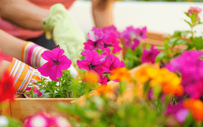 4 Things To Expect from the Spring Housing Market